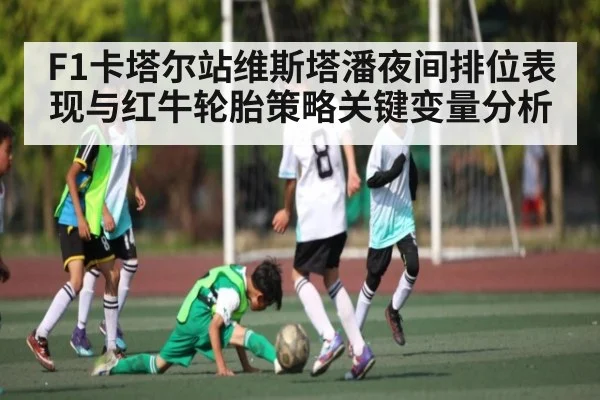 F1卡塔尔站维斯塔潘夜间排位表现与红牛轮胎策略关键变量分析